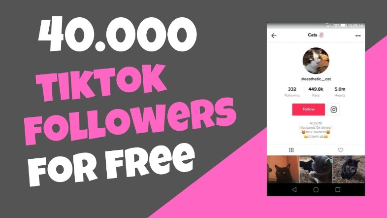Free Tiktok Followers Without Verification